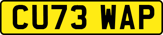 CU73WAP