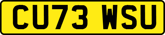 CU73WSU