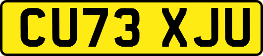 CU73XJU