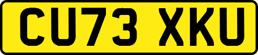 CU73XKU