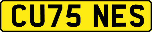 CU75NES
