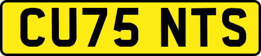 CU75NTS