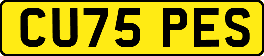 CU75PES