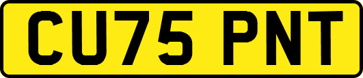 CU75PNT