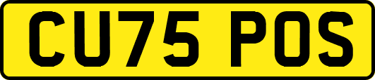 CU75POS