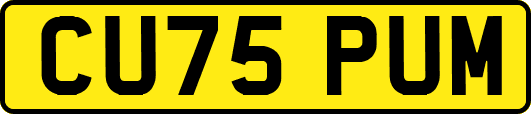 CU75PUM