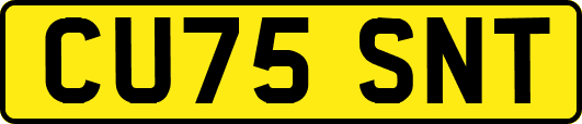 CU75SNT