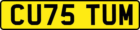 CU75TUM