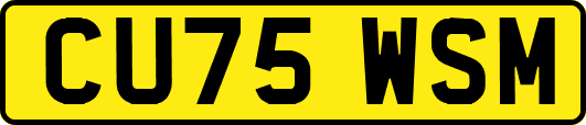 CU75WSM