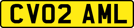 CV02AML