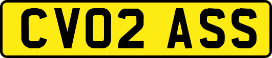 CV02ASS