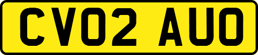 CV02AUO