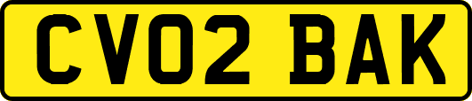 CV02BAK