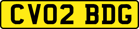 CV02BDG
