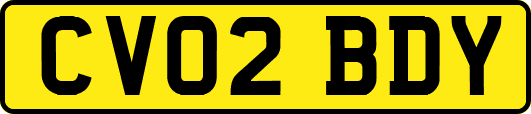 CV02BDY