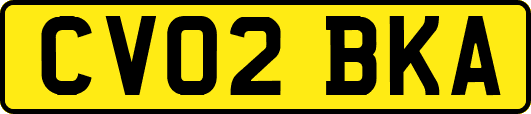 CV02BKA