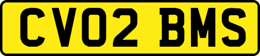CV02BMS