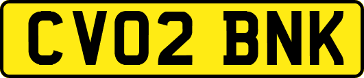 CV02BNK