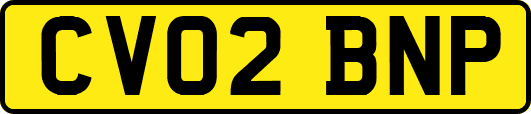 CV02BNP