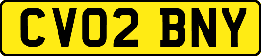 CV02BNY