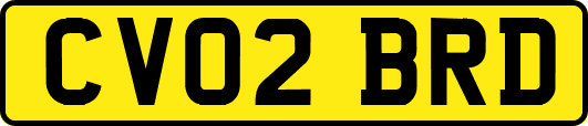 CV02BRD