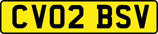 CV02BSV