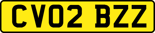 CV02BZZ