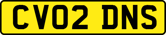 CV02DNS