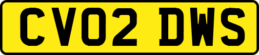 CV02DWS