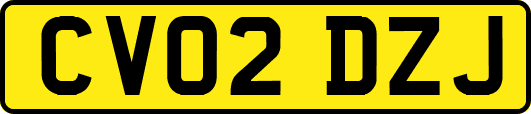 CV02DZJ