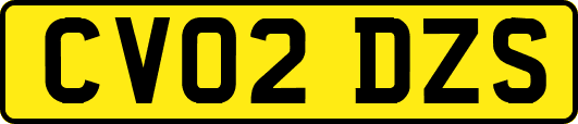 CV02DZS