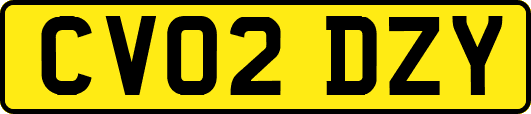 CV02DZY