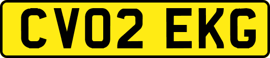 CV02EKG