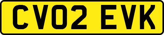 CV02EVK