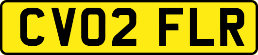 CV02FLR