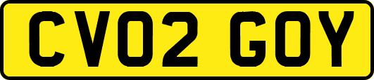 CV02GOY