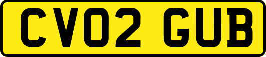 CV02GUB