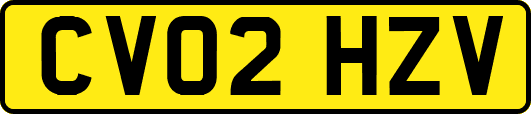 CV02HZV