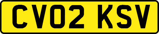 CV02KSV