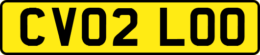 CV02LOO