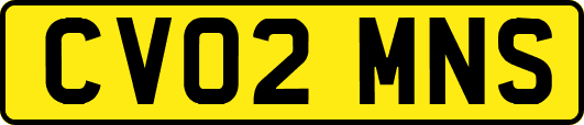 CV02MNS