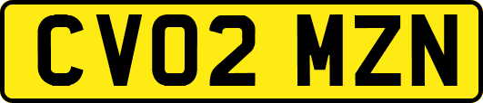 CV02MZN