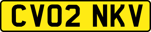 CV02NKV