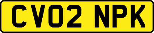 CV02NPK