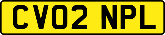 CV02NPL