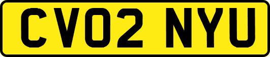 CV02NYU