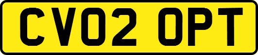 CV02OPT