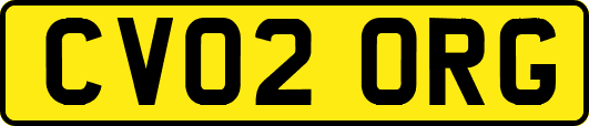 CV02ORG
