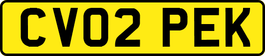 CV02PEK