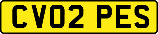 CV02PES